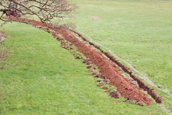 Cost of Swale Installation in Hamburg