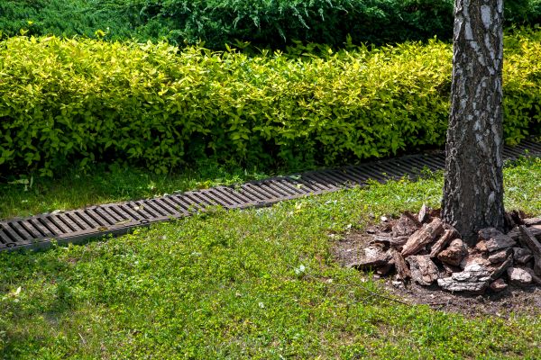 Cost of Residential Landscape Drainage in Hamburg