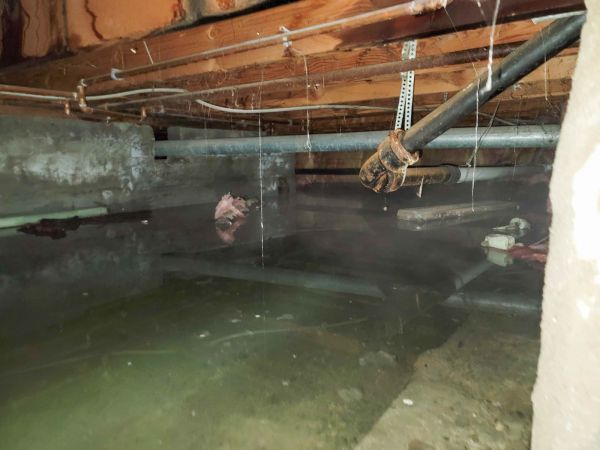 Cost of Crawlspace Drainage in Hamburg