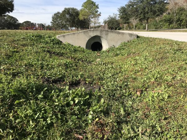 Cost of Swale Drainage Service in Hamburg